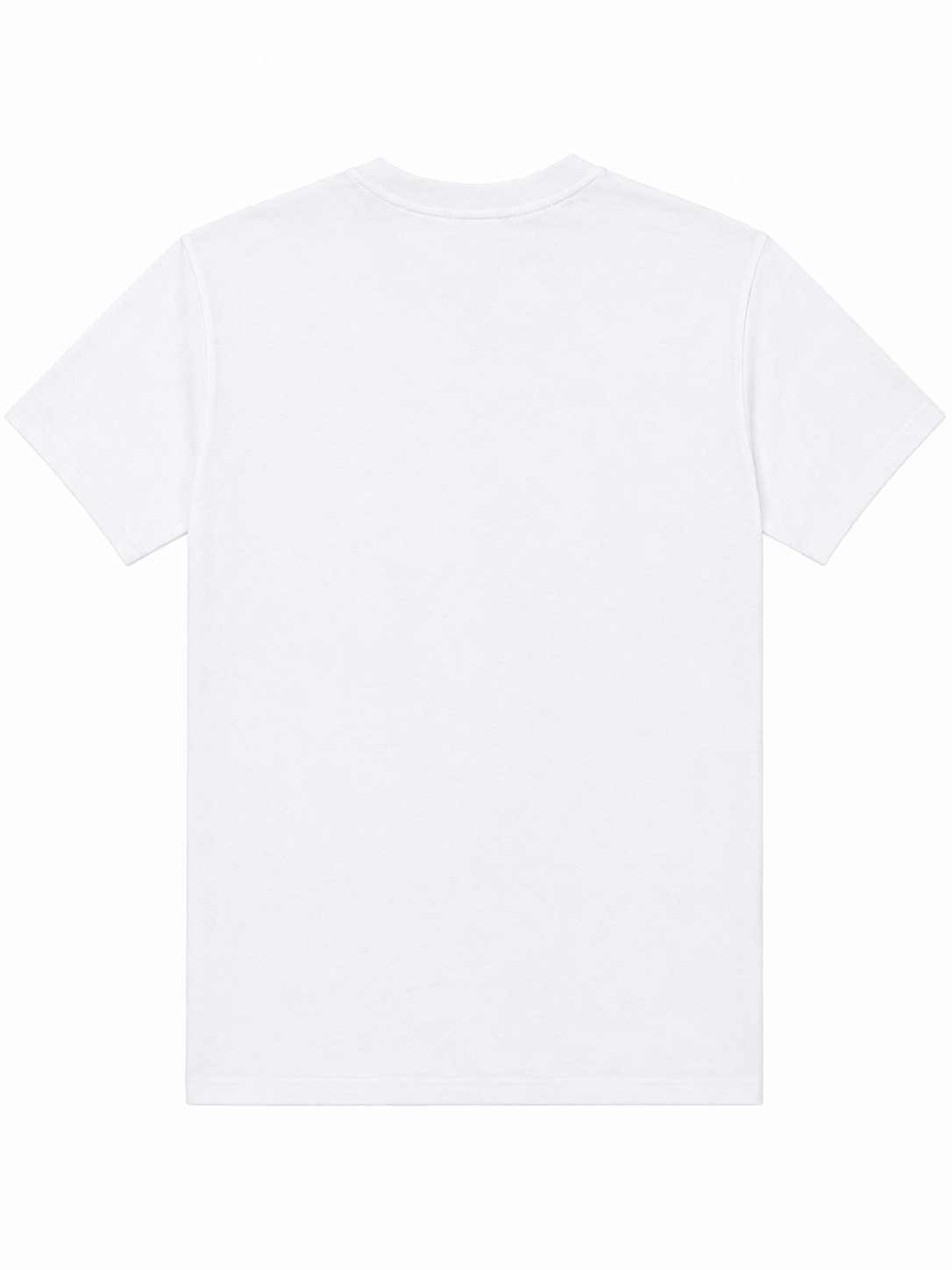Retro della T-shirt bianca Balena d’Aprile